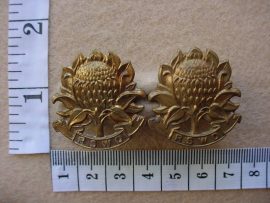 645 Regiment South Western Districts collar badges (CO1178-CO1179)