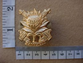 647 Regiment Langenhoven cap badge (CO1182)