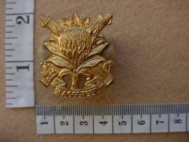 648 Regiment Langenhoven cap badge (CO1182)