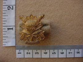 653 Regiment Langenhoven collar badge (CO1183)