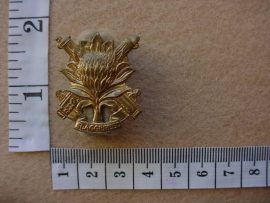 654 Regiment Langenhoven collar badge (CO1183)
