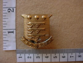 669 South African Ordnance Corps collar badge (CO1206)