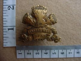 724 Special Service Battalion (Armoured Cars and Tank Corps) cap badge (CO1289)