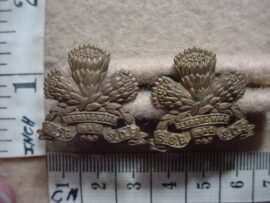 729 Special Service Battalion (Armoured Cars and Tank Corps) collar badges (CO1290)