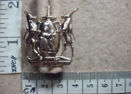 765 South African Coloured Corps collar badge (CO1335)