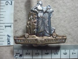 769 Cape Corps cap badge (CO1337)