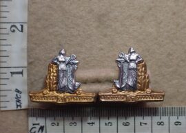 10898 Cape Corps collar badges (CO1338-CO1339)