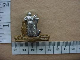 772 Cape Corps collar badge (CO1338)