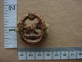 781 UDF Non-European Army Services collar badge (CO1352)