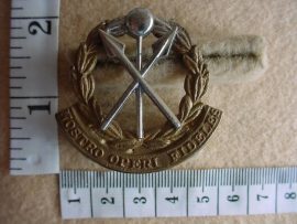 783 21 Battalion/SA Support Service Corps cap badge (CO1354)
