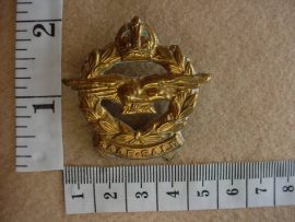 953 SA Air Force cap badge (Ref. CO1533)