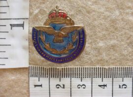 6498 South African Air Force lapel badge (CO1536)