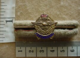 6495 South African Air Force lapel badge (CO1537)