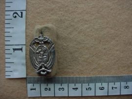 1179 Transvaal Provincial Administration Traffic Police collar badge (Ref. CO1968)