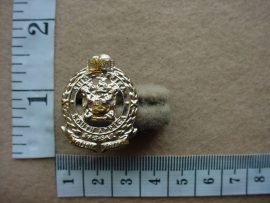 1184 SA Railways Police collar badge (Ref. CO1978)