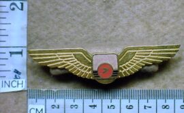 9915 South African Airways Pilot wings (CO2385)