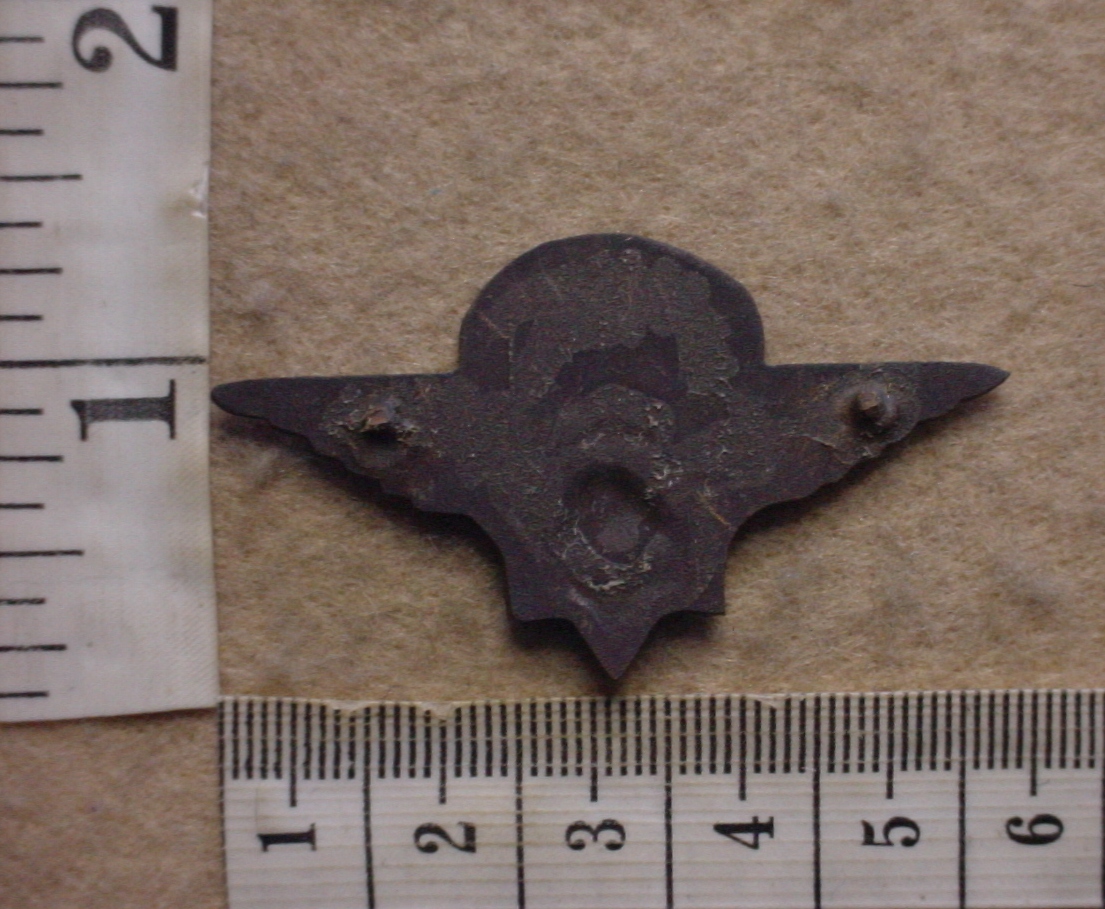 10296 South African Police Vlakplaas parachute wings (CO2391) - Image 2