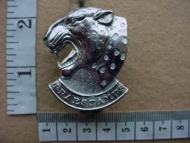 1278 121 Battalion cap badge (CO2469)