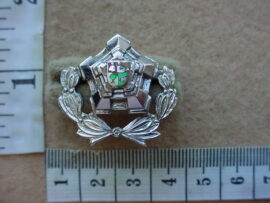 4739 South African Police Senior Sergeant rank badge (CO2475)