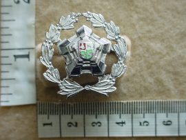 8393 South African Police Chief Sergeant rank badge (CO2476)