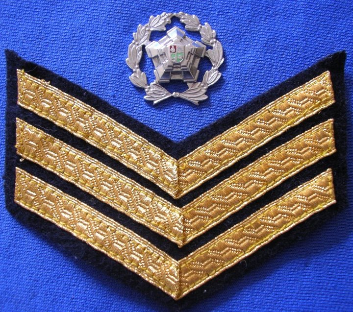 8393 South African Police Chief Sergeant rank badge (CO2476) - Image 2