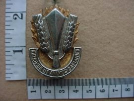 1284 South African Army Catering Corps cap badge (CO2489)