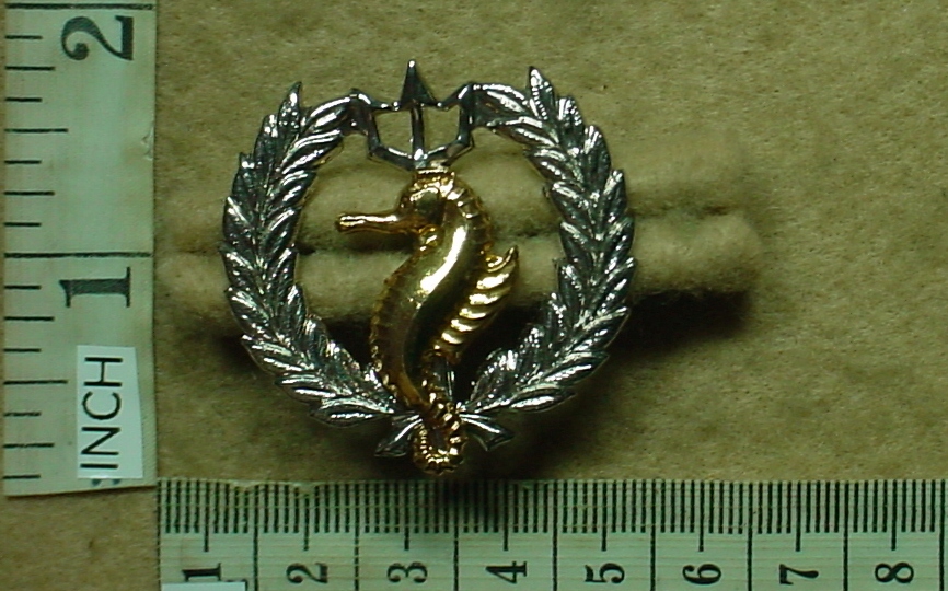 1324 South African Navy Independent Ships breast badge (CO2514)