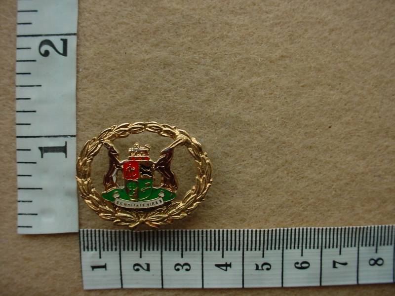 1326 SA Police Warrant Officer rank badge, Ladies small version (CO2523)