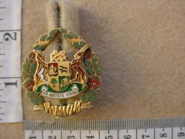 6969 SA Prisons Service Warrant Officer rank badge (CO2526)