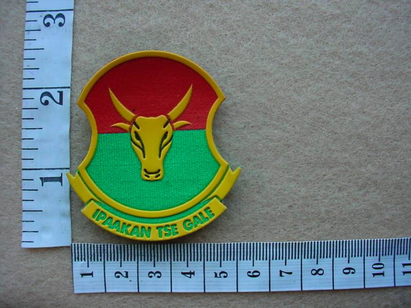 2707 Bophuthatswana President's Guard Unit cap badge (Ref. CO2537 variation)