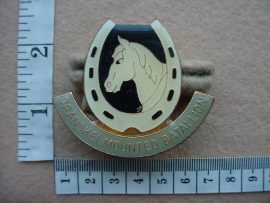 1338 Transkei Mounted Batallion cap badge (CO2538)