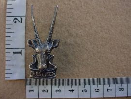 1351 SWA TF Services cap badge (Ref. CO2649)