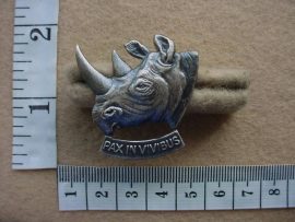 1376 South West Africa Territorial Force 101 Battalion cap badge (CO2685)