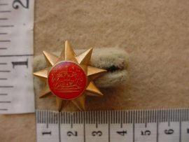 9272 Bophuthatswana Police and Prisons rank star (CO2779)