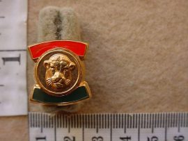 9274 Bophuthatswana Police and Prisons rank badge, Major, mess dress (CO2784)