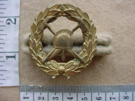 4428 SA Fire Brigade cap badge (Ref. CO2871)