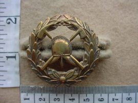 4429 SA Fire Brigade cap badge (Ref. CO2871)