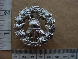 4433 Rhodesian Fire Brigade cap badge (CO2871)