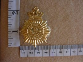 98 Cape Town Rifles (Duke of Edinburgh's Own Rifles) cap badge (CO30)