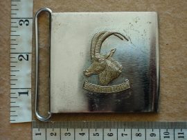 9336 Rhodesian Armoured Cars Regt stable belt buckle (CO3060)