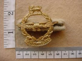 8977 Southern Rhodesian Air Force cap badge (CO3082)
