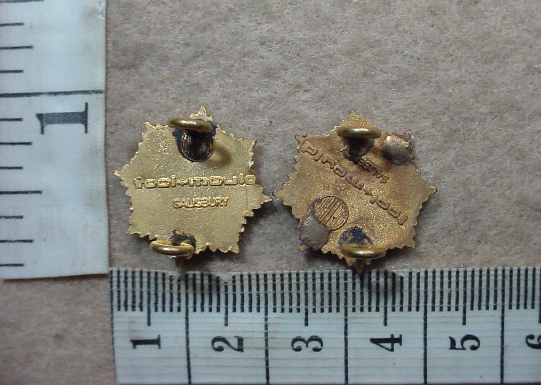 1497 Rhodesian Army Services Corps collar badges, Officers gilt (CO3133-CO3134) - Image 2