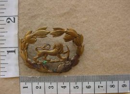 10141 Rhodesian Army Warrant Officer Class 2 rank badge, WW2 (CO3253)