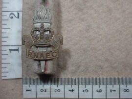 3841 Rhodesia and Nyasaland Army Education Corps cap badge (CO3278)