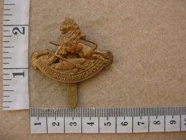 10025 British South Africa Police cap badge (CO3355)