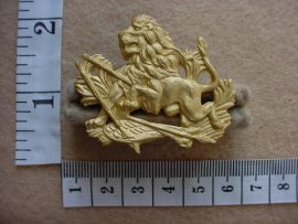 1699 Rhodesian British South Africa Police cap badge (CO3360)