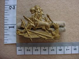 1698 Rhodesian British South Africa Police cap badge (CO3360)