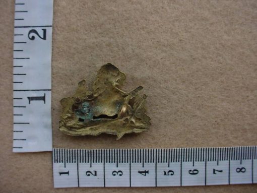 1671 BSA Police cap badge (CO3373) - Image 2