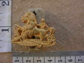 10028 British South Africa Police cap badge (CO3373)