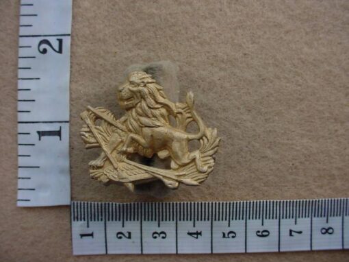 1674 BSA Police cap badge (CO3373)